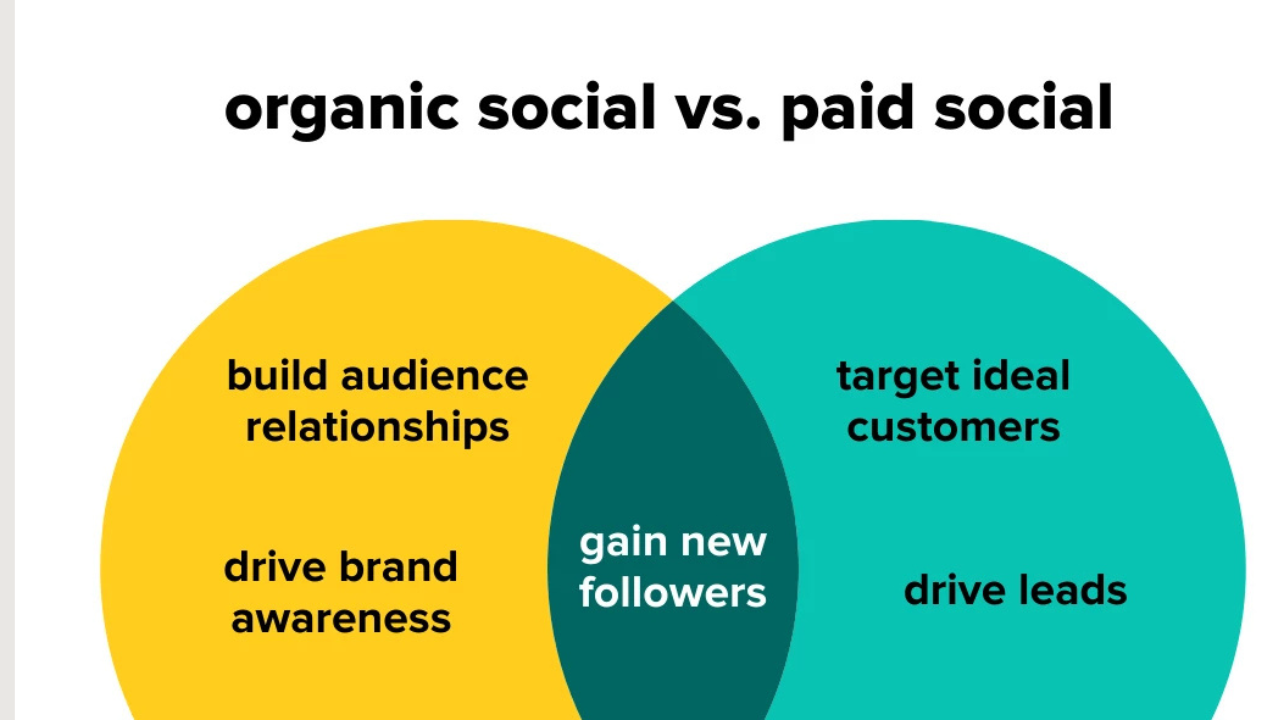 Paid vs Organic Social Media