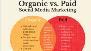 Read more about the article Paid vs Organic Social Media: Finding the Right Mix