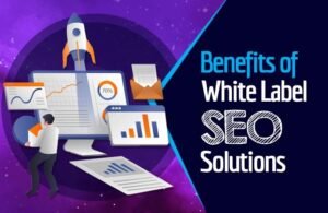 Read more about the article Online Listing SEO White Label: Reselling Local SEO Services Under Your Brand